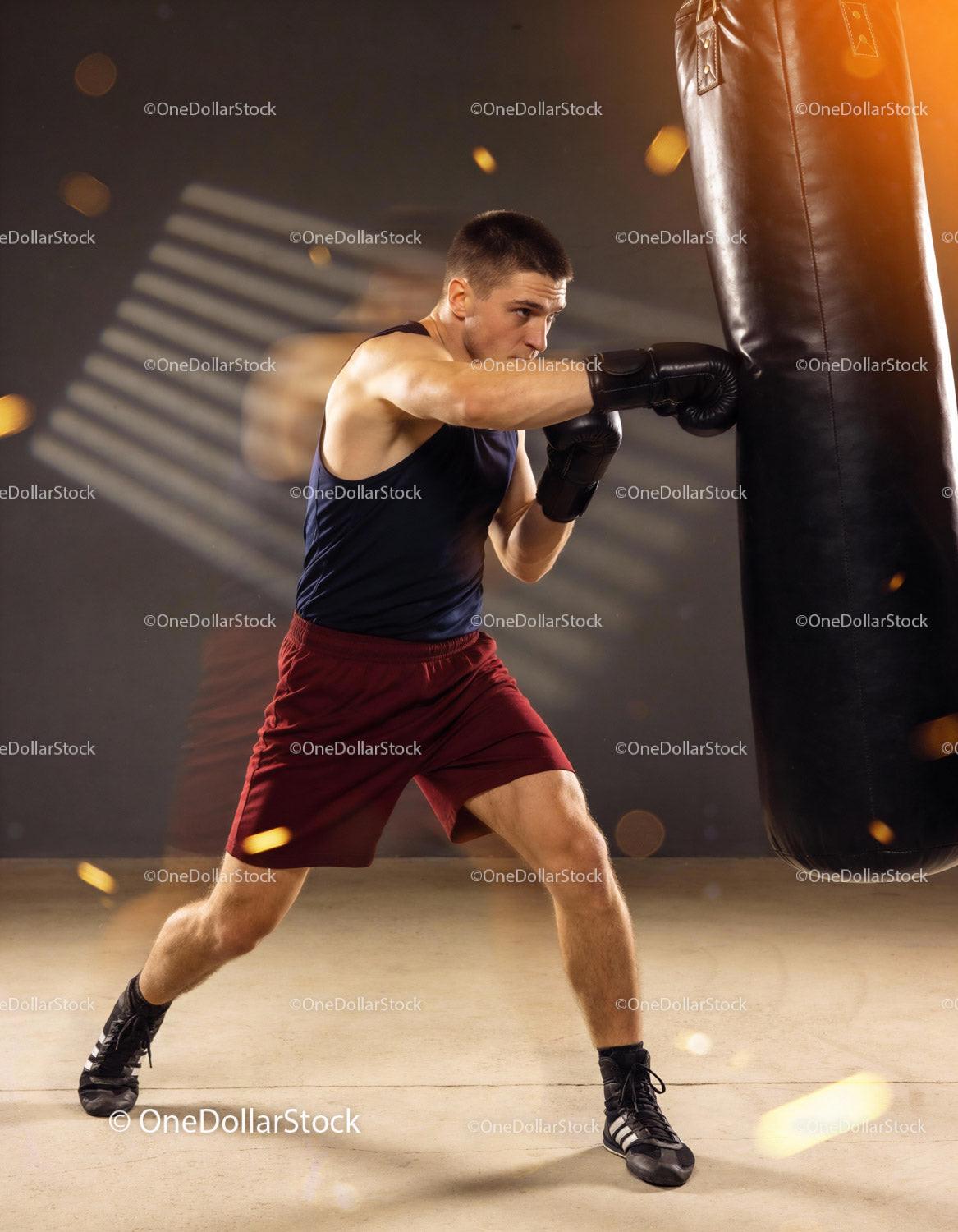Focused young man training with punching bag indoors