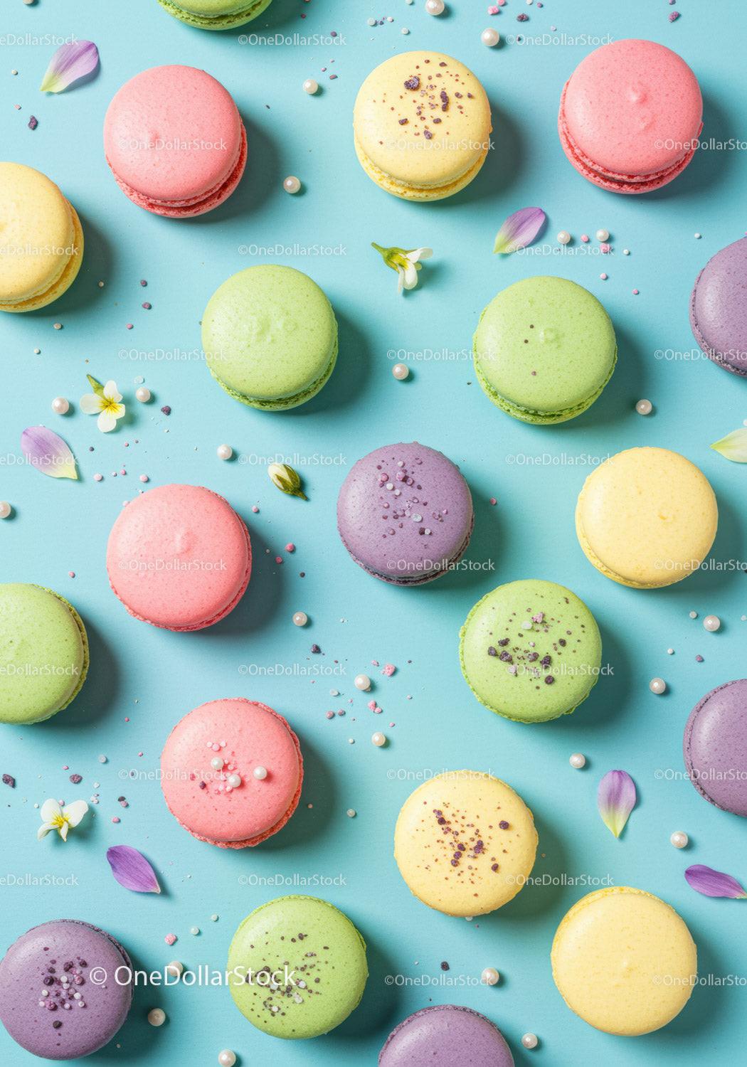 Colorful Macarons with Decorative Flowers on Blue Surface