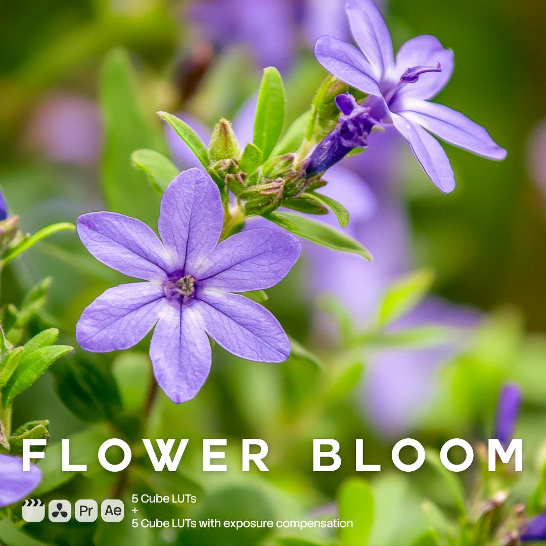 Flower Bloom LUT Pack preview