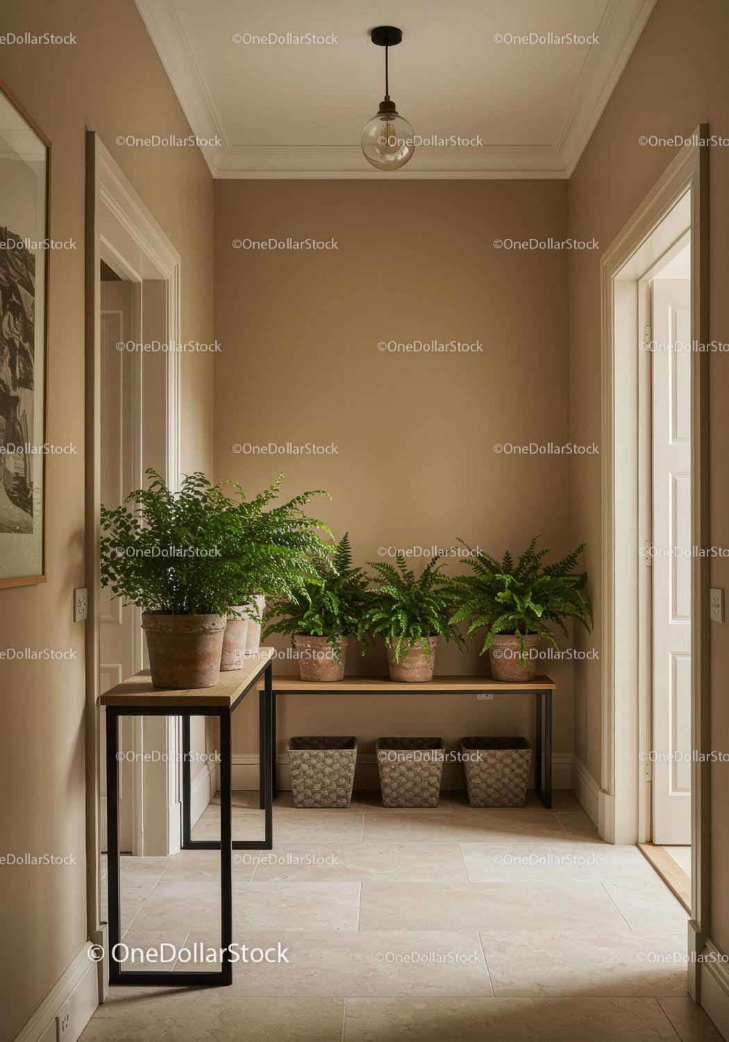 Indoor Hallway with Potted Ferns and Neutral Decor