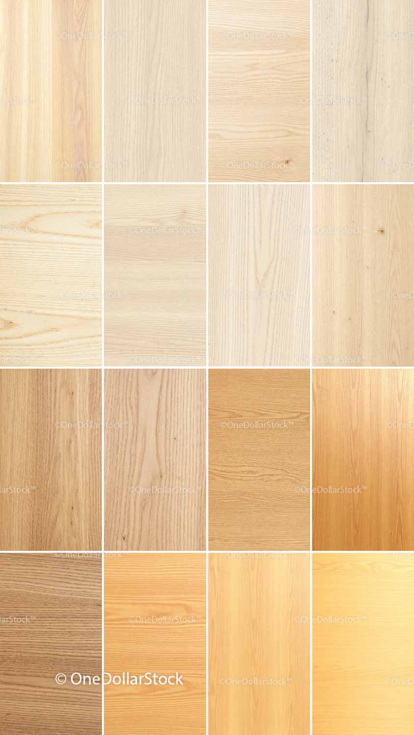 Woods 64 JPG/PNG Files digital asset preview