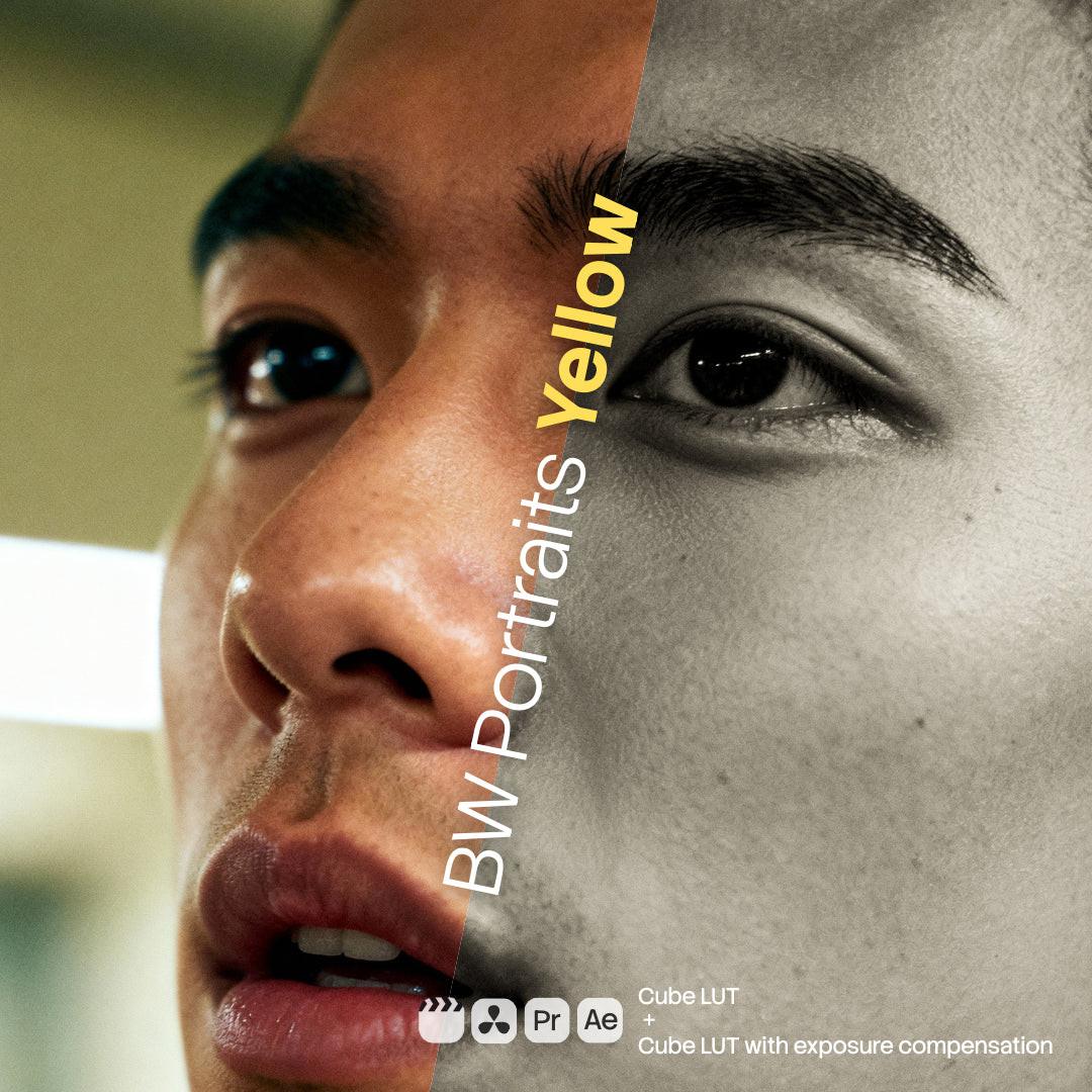 BW Portraits Yellow LUT Pack preview
