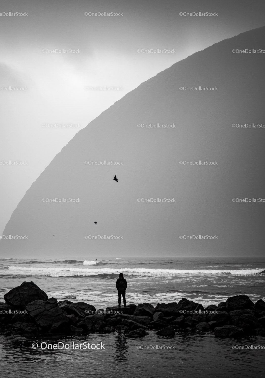 Solitary figure observing ocean waves at rocky shore