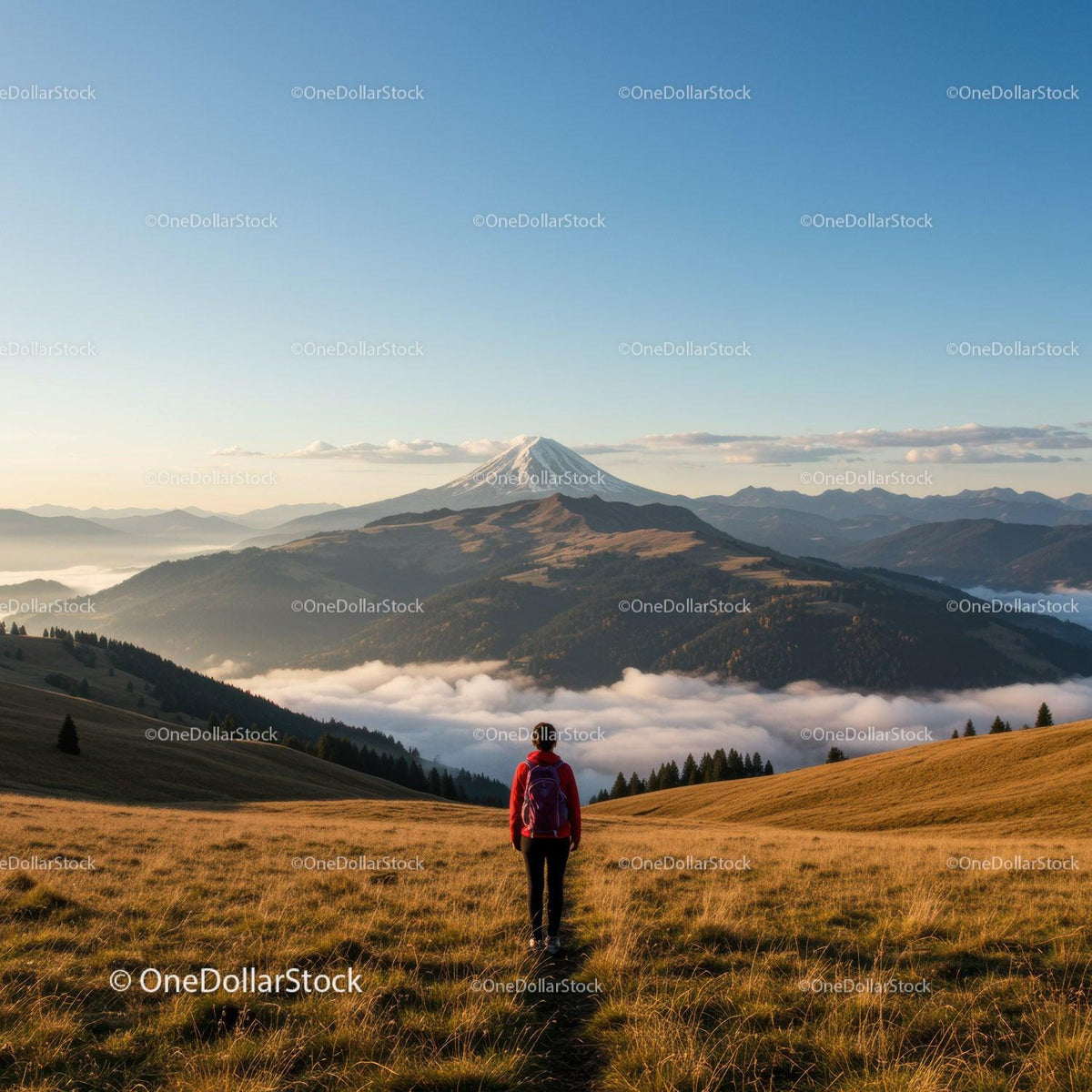 Scenic Mountain Landscape with Hiker in Grassy Field and Snowy Peak