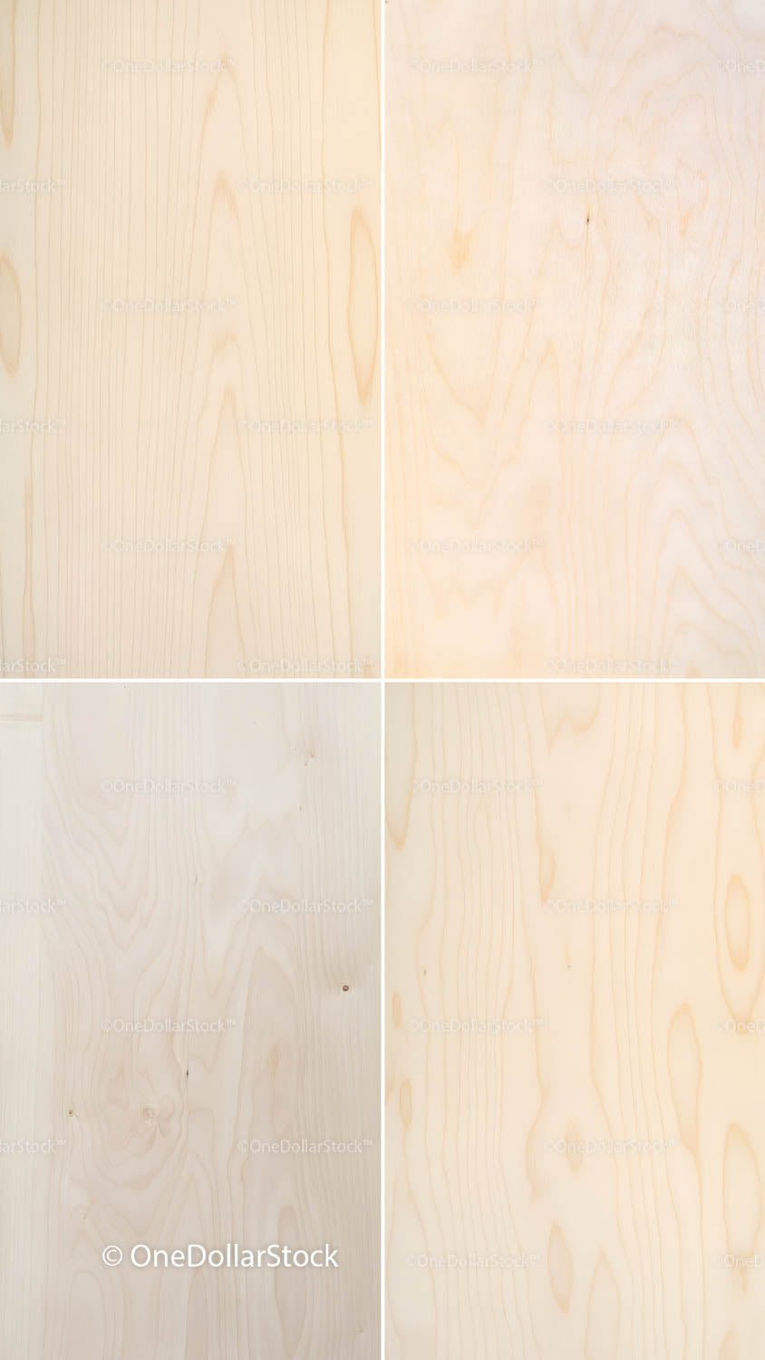 Birch Wood 16 PNG Files digital asset preview
