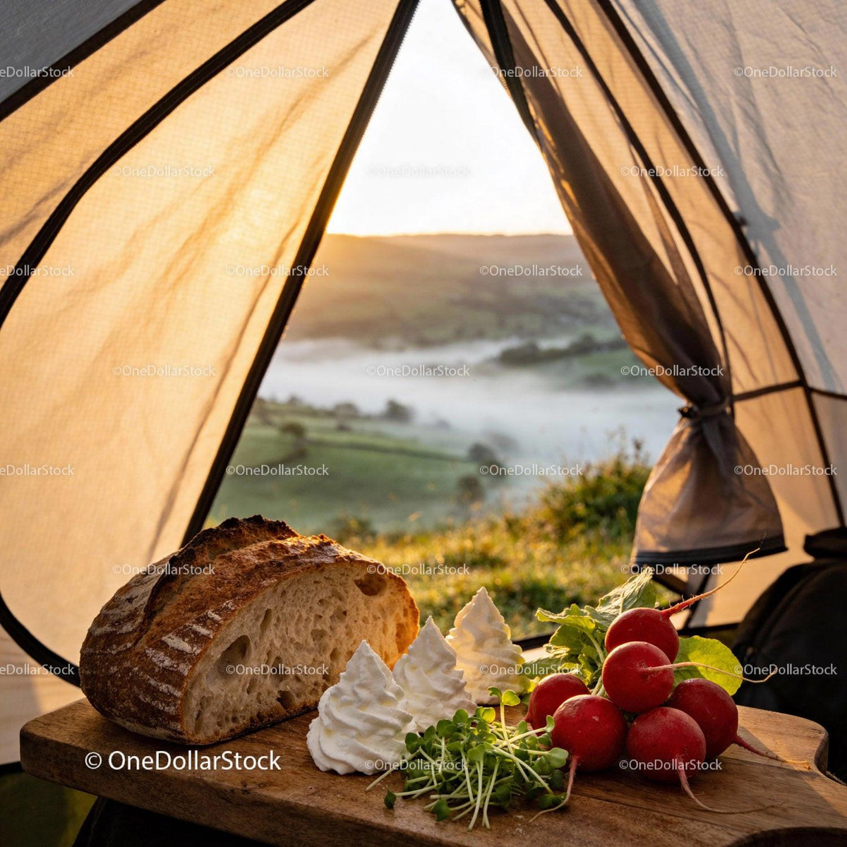 Rustic Bread and Fresh Vegetables in Morning Camp