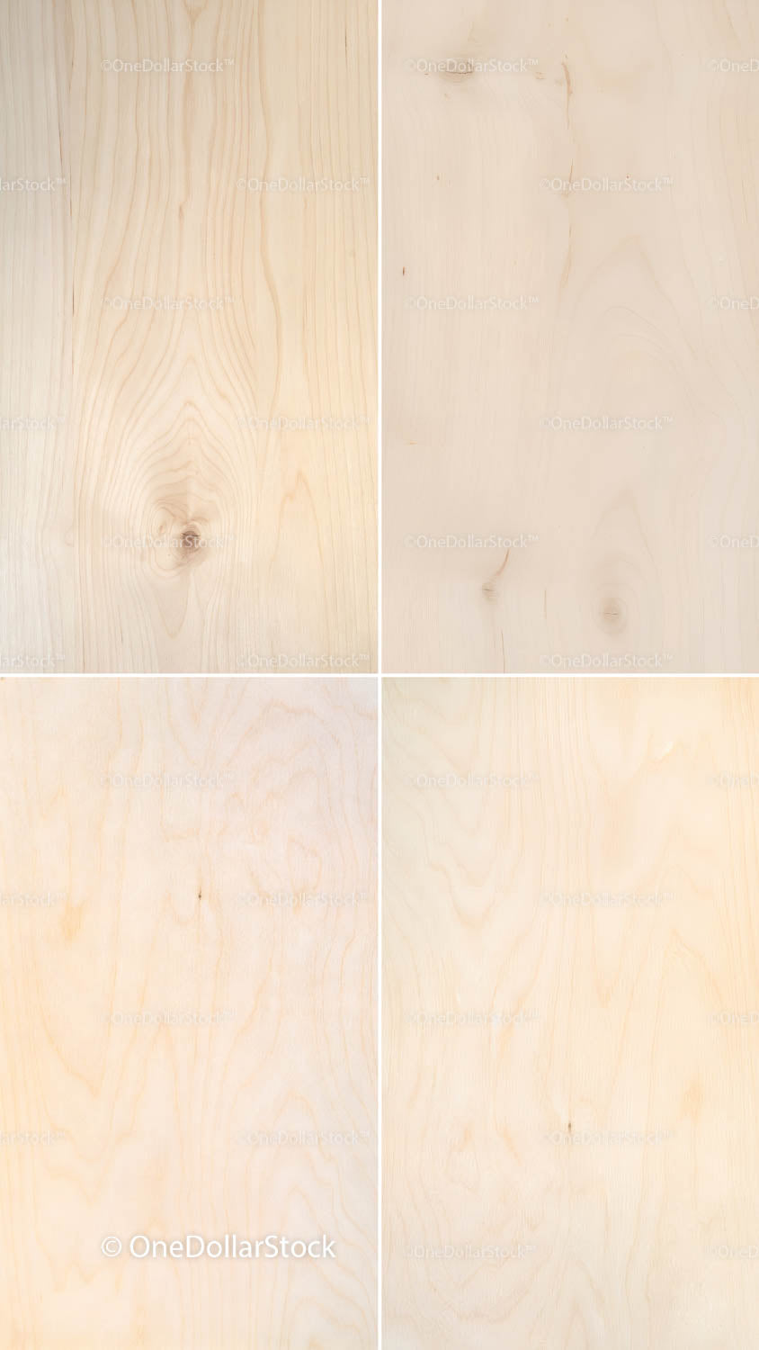 texture background made with Birch Wood Textures