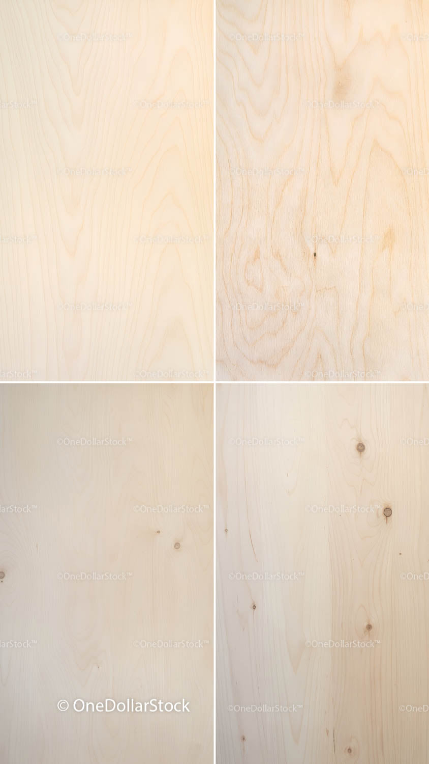 Birch Wood Textures creative preview 4