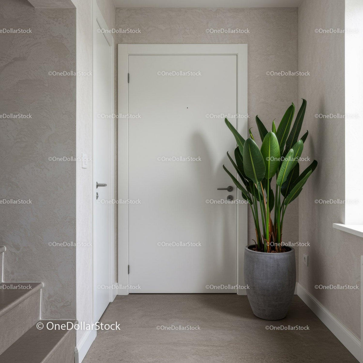 Modern Minimalist Home Entrance with Green Foliage and White Door