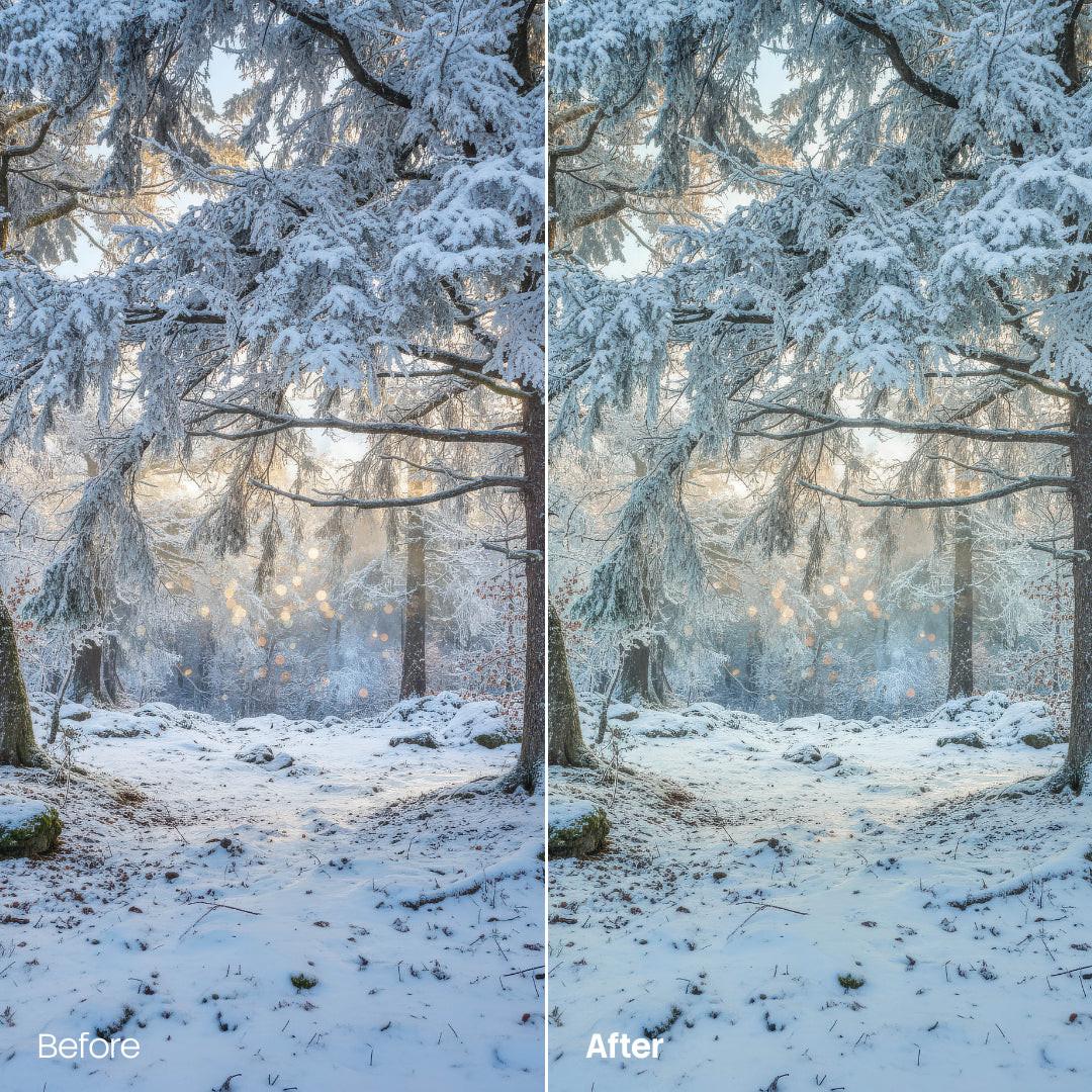 Before and after Serene Cold Atmosphere Lightroom preset edit