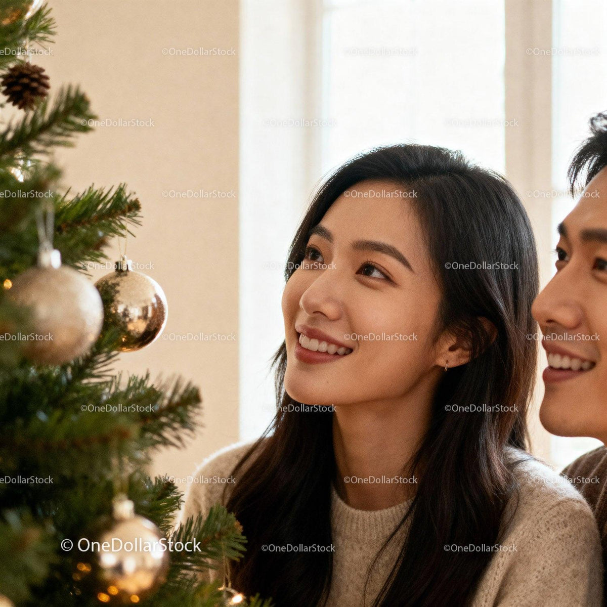 Couple Decorating Christmas Tree with Warm Smiles