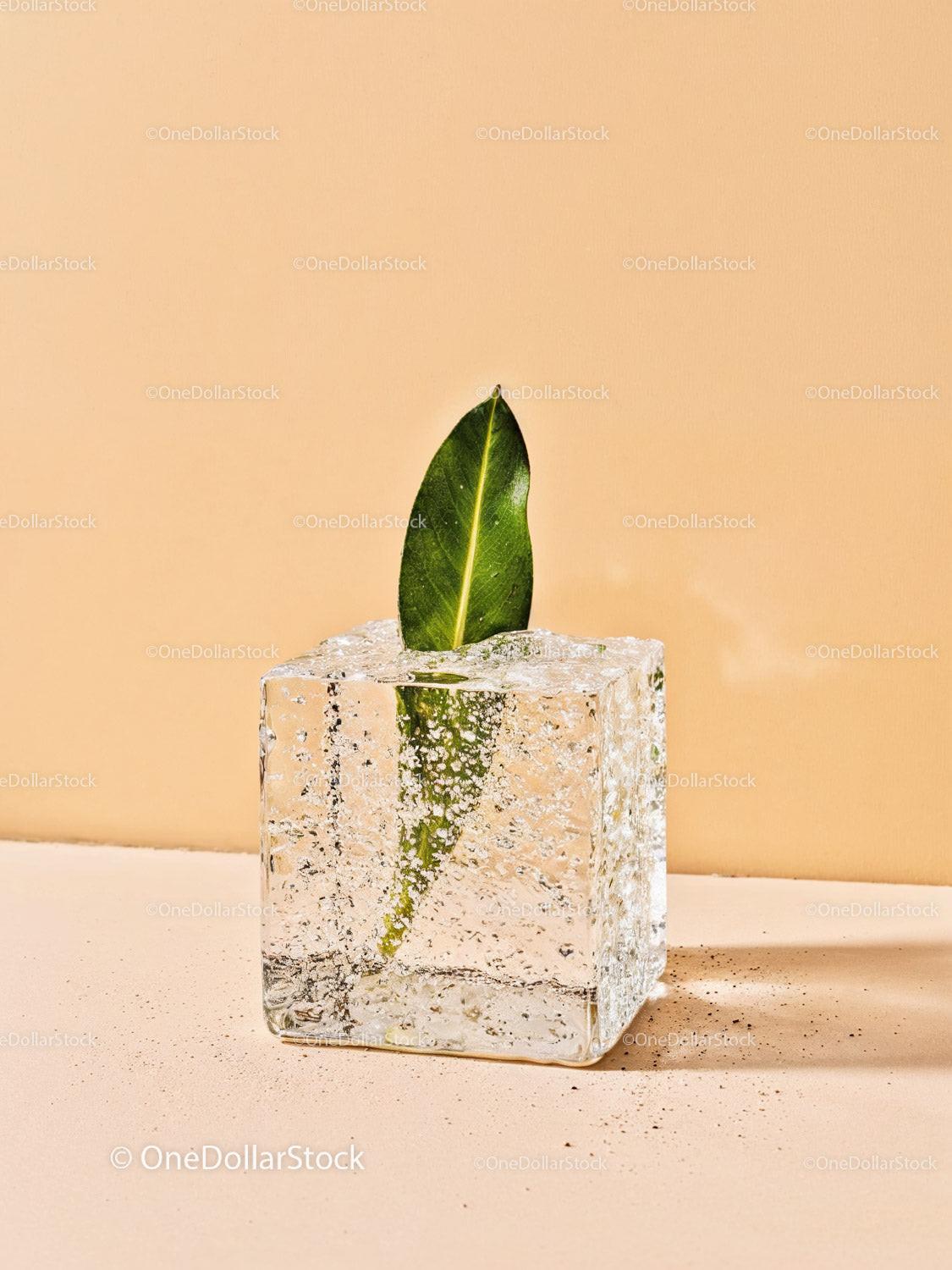 Green Leaf Encased in Sparkling Transparent Ice Cube