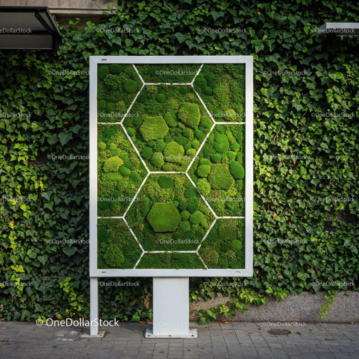 Modern Urban Moss Art Display in a Green City Environment JPG Mockup Image preview