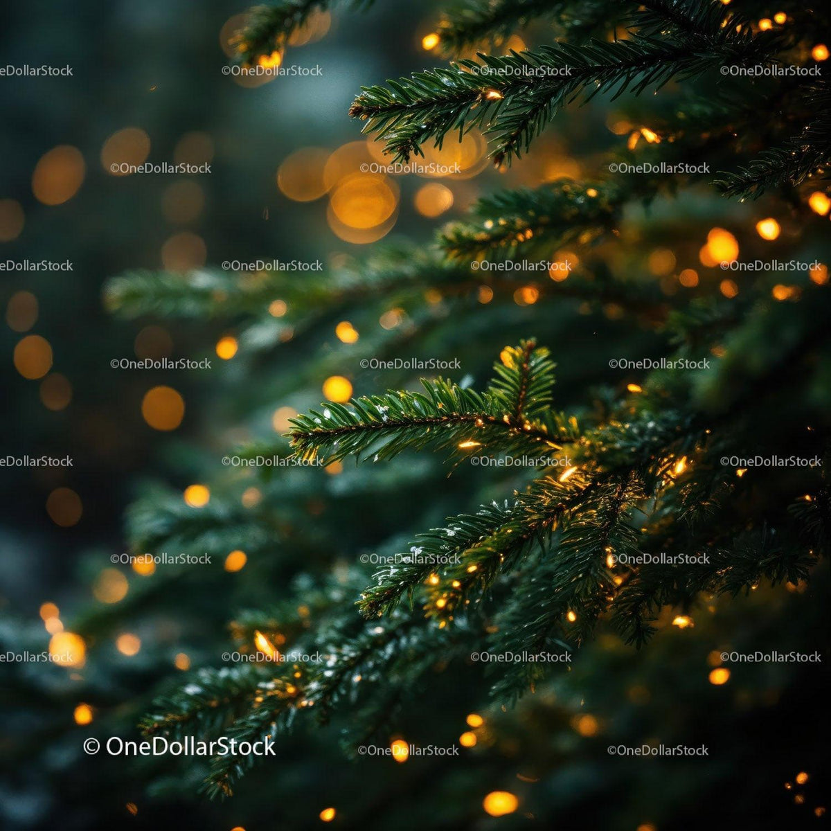 Evergreen branches glowing with warm holiday lights