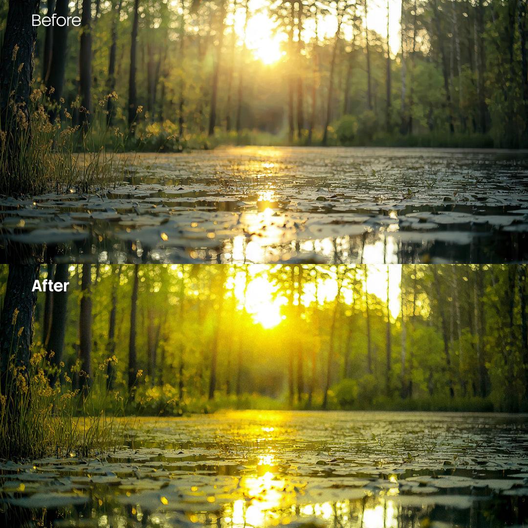 urban photography edit with Forest Warm Glow Grain Lightroom presets