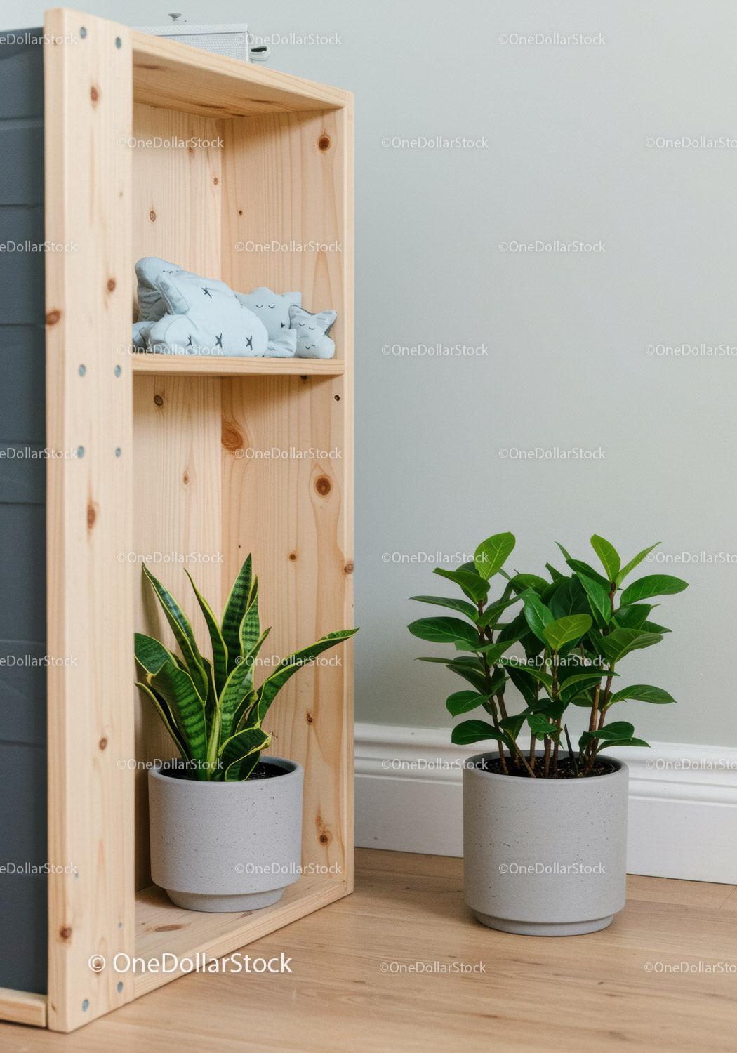 Indoor Houseplants with Green Foliage Next to Wooden Shelf in Modern Home