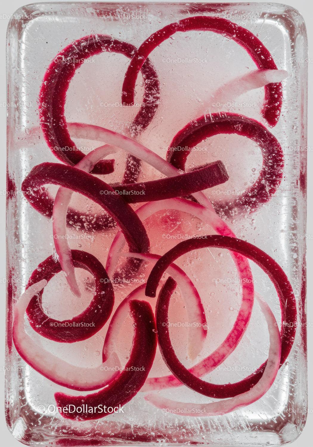 Red onion rings suspended in clear ice block