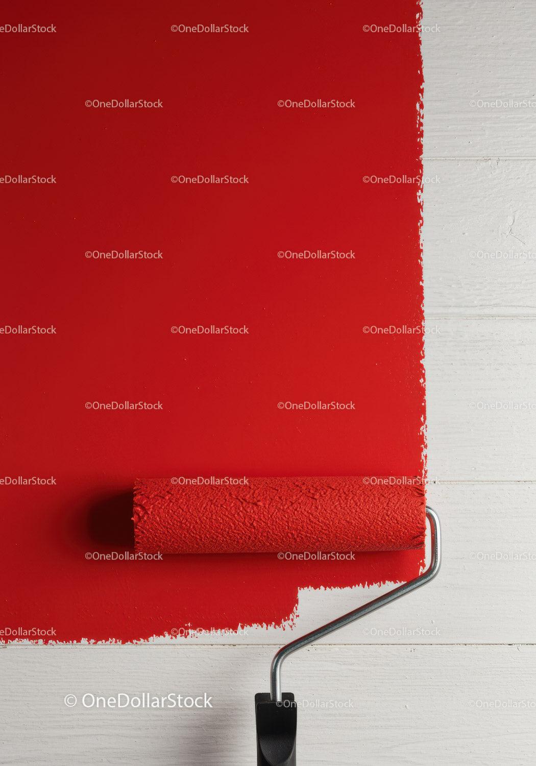 Red Paint Being Applied with Roller on White Wall for Home Renovation Stock Photo Bundle preview 16