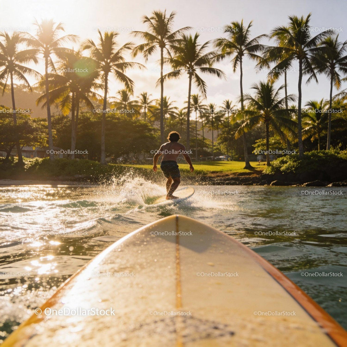 Surfer Riding a Wave at Tropical Beach Sunrise