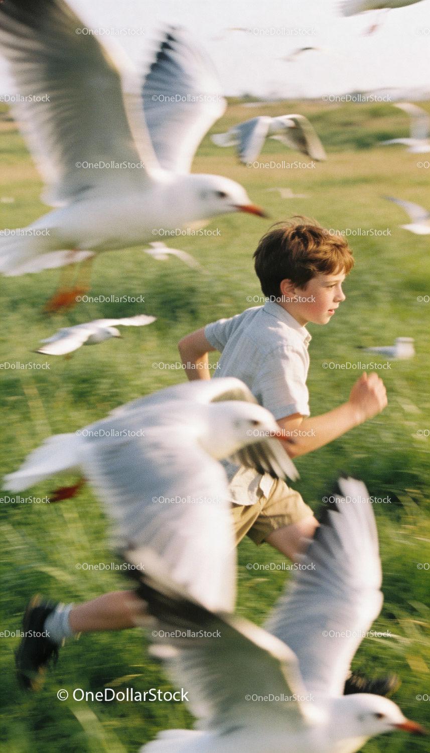 Young boy joyfully running through birds in open field