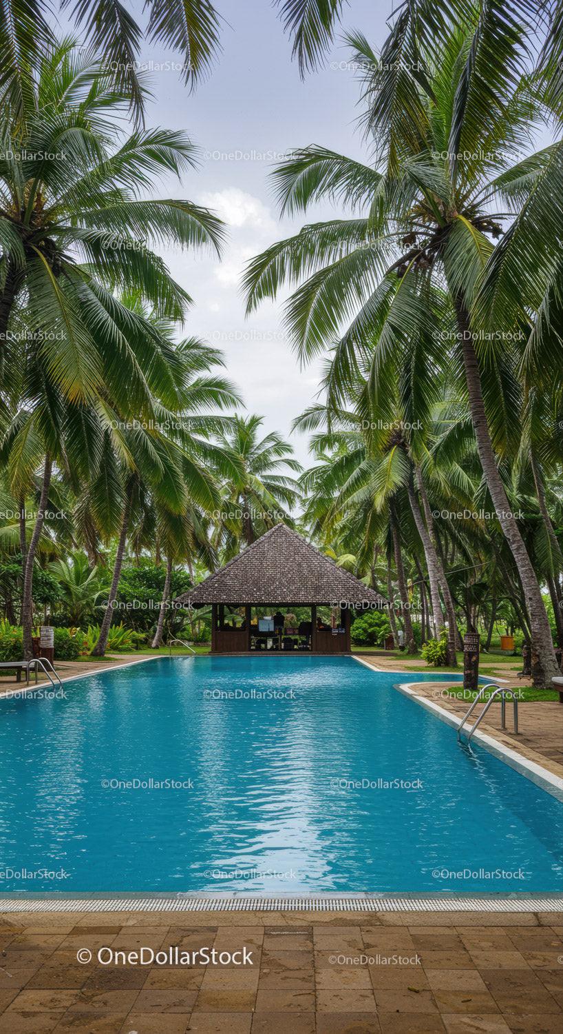 Tropical Resort with Swimming Pool Surrounded by Palm Trees