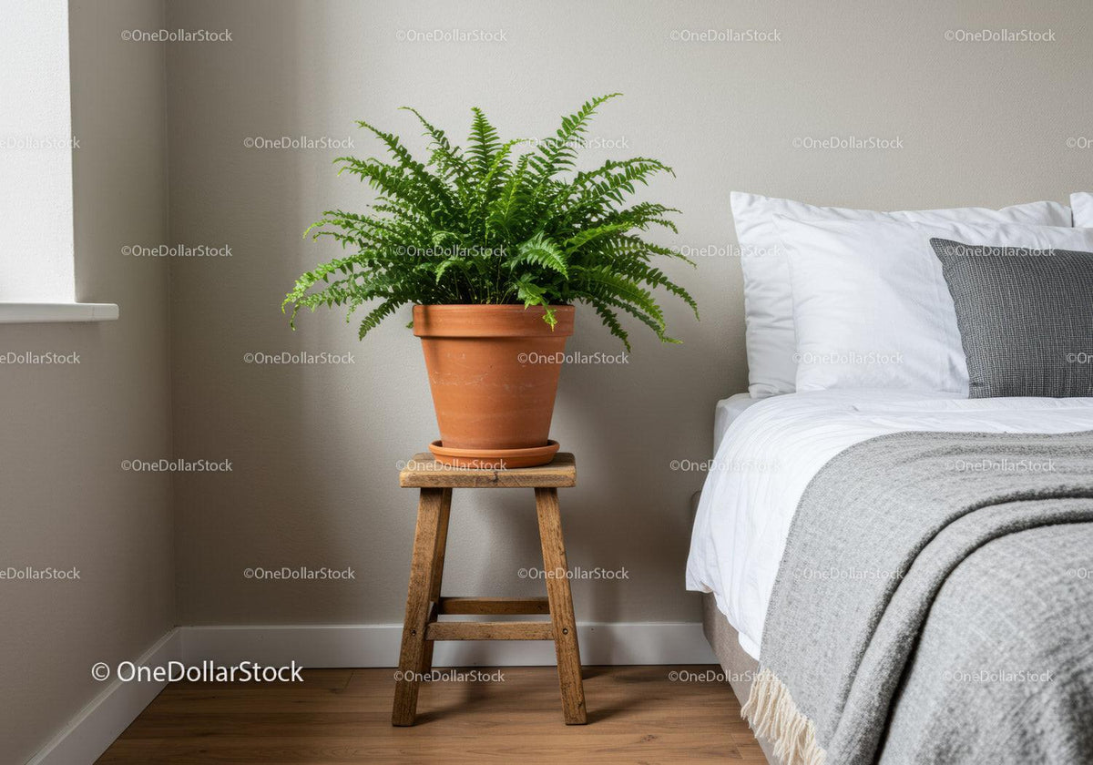Green Fern in Terracotta Pot on Wooden Stand Next to Bedroom Bed