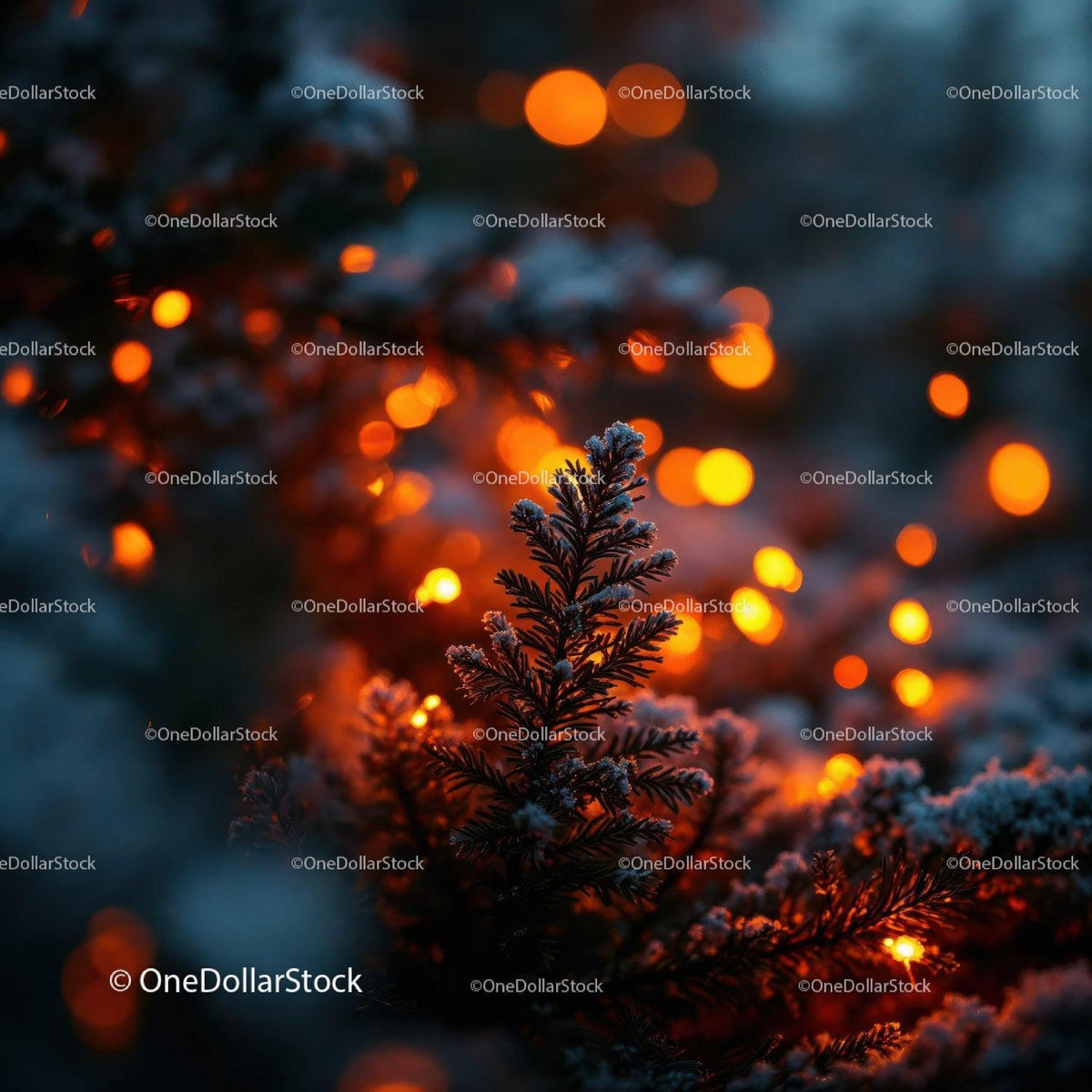 Frosted evergreen branches glowing with warm lights