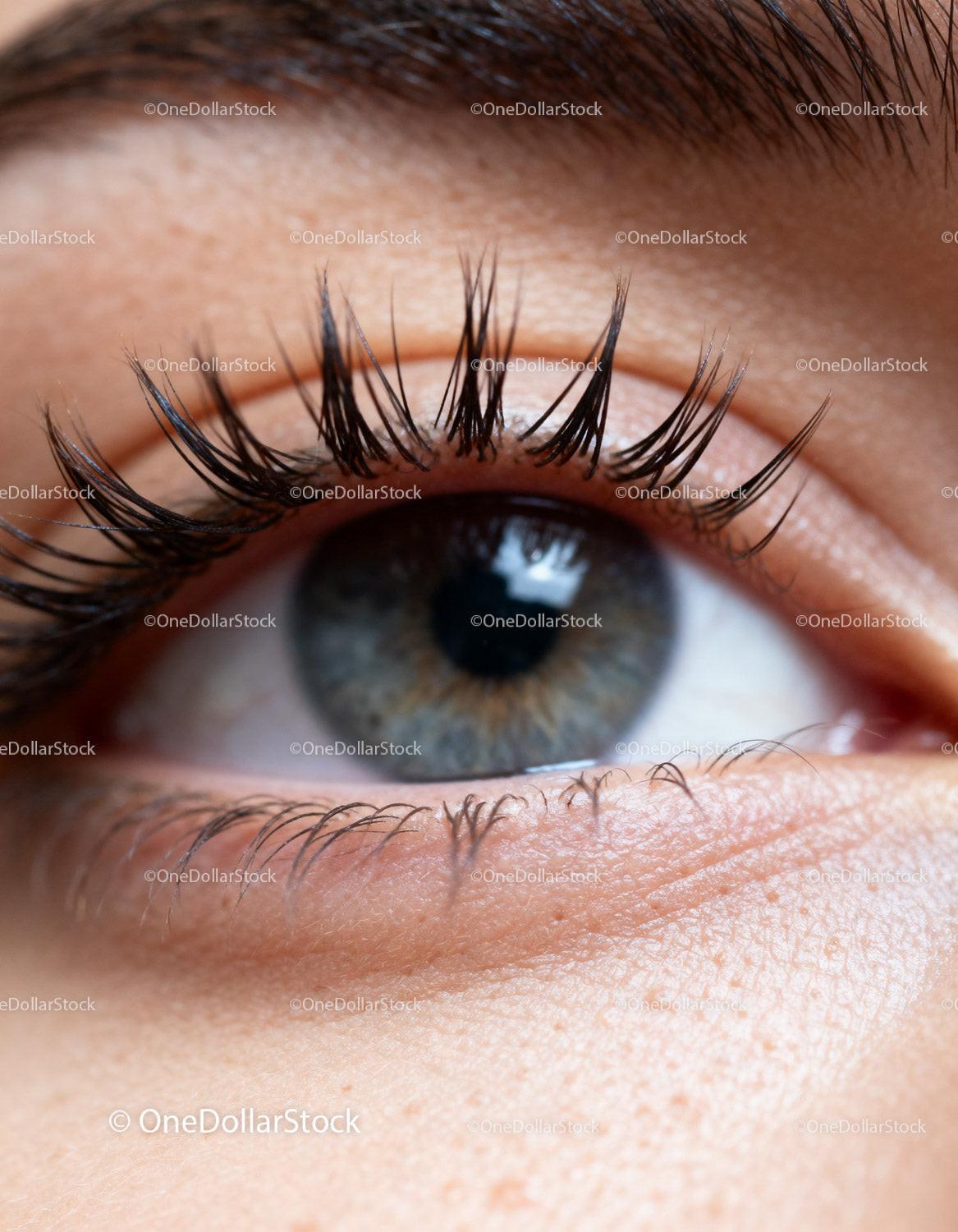 Close Up of Human Eye with Long Eyelashes