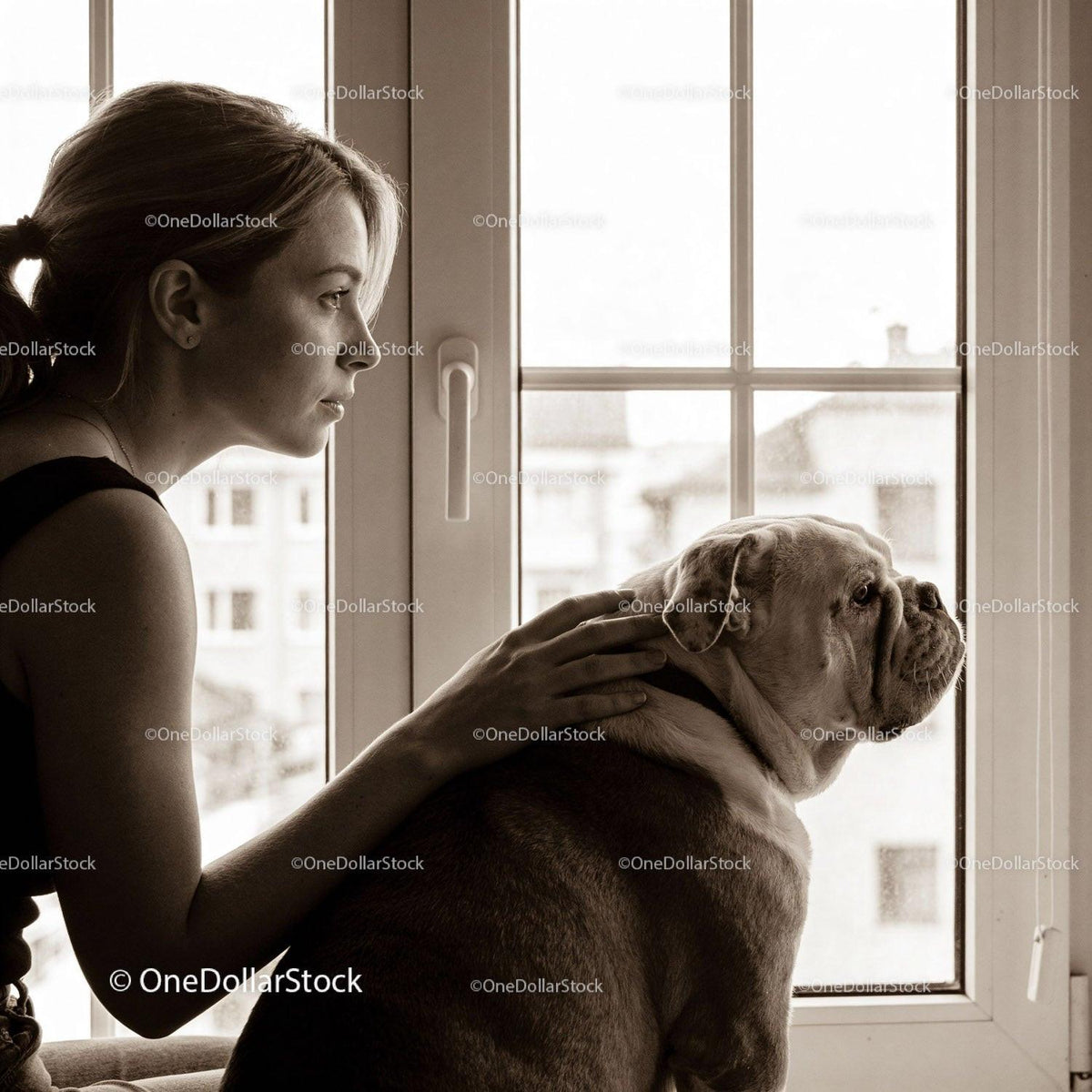 Calm woman with her bulldog looking outside the window