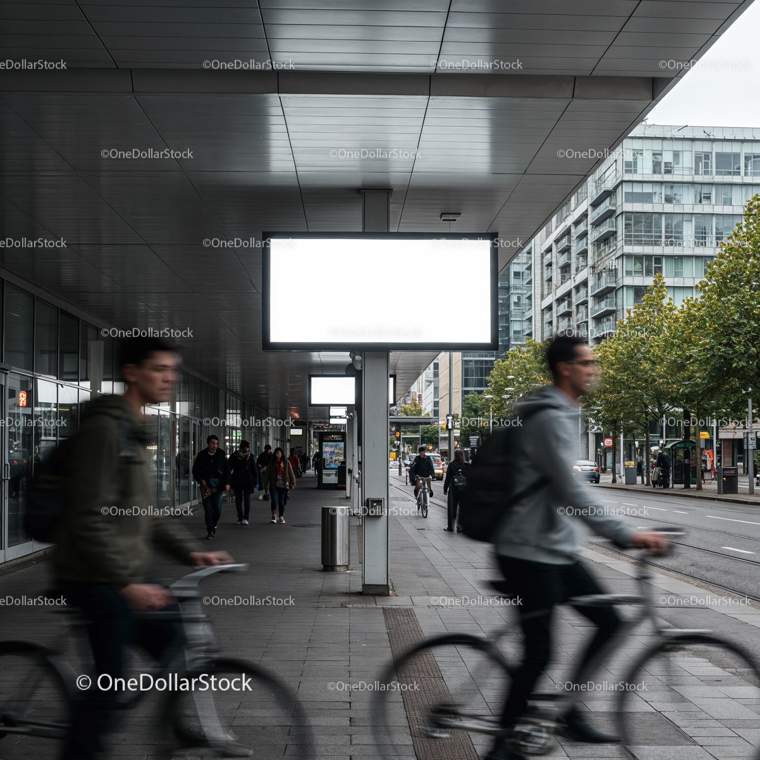 Urban commuters cycling past blank city billboards