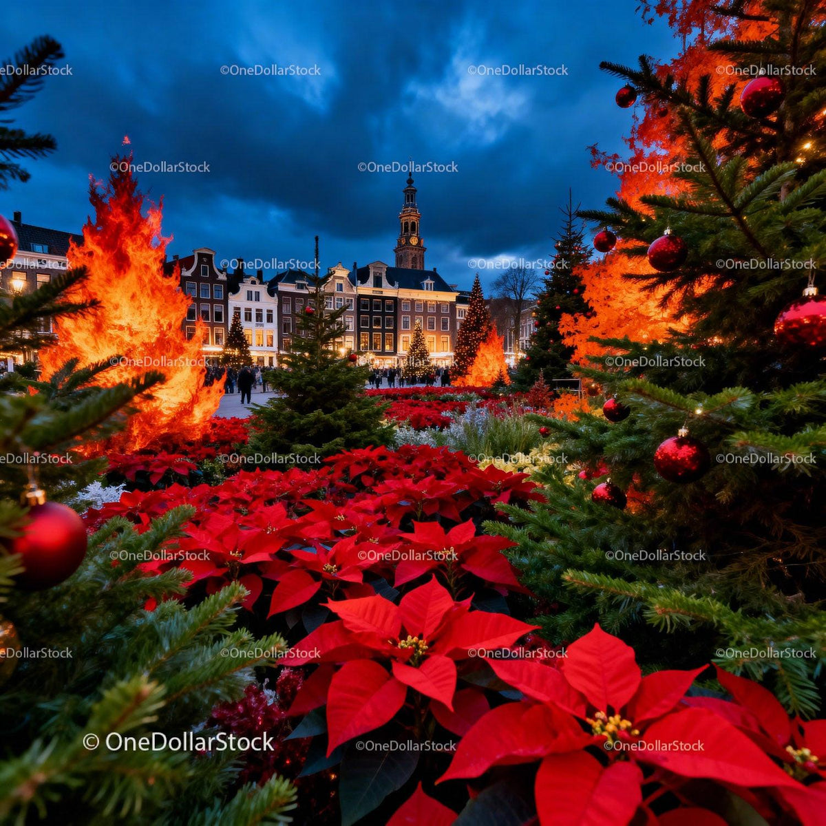 Festive Christmas Market with Bright Poinsettias and Lights