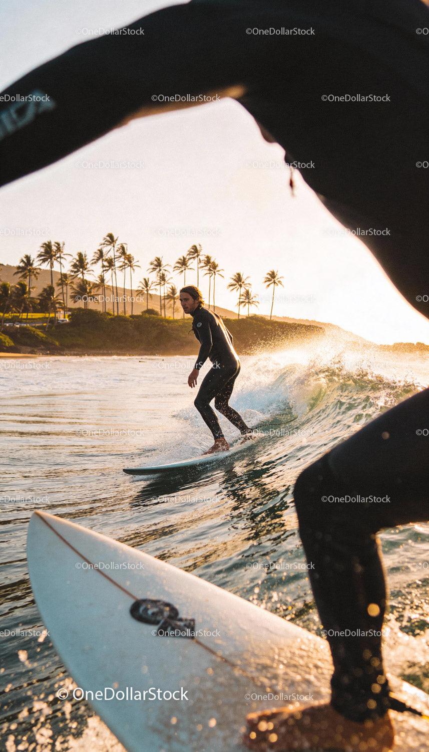 Surfer Riding a Wave at Sunset with Palm Trees