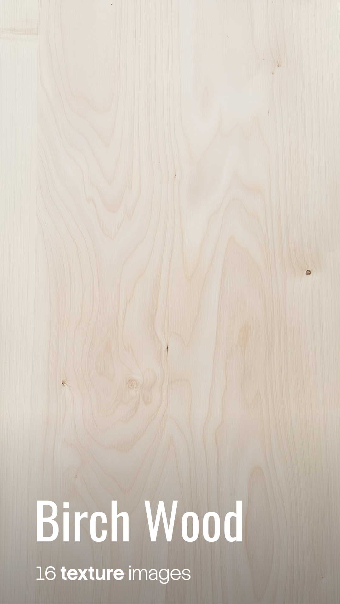 Birch Wood Textures preview
