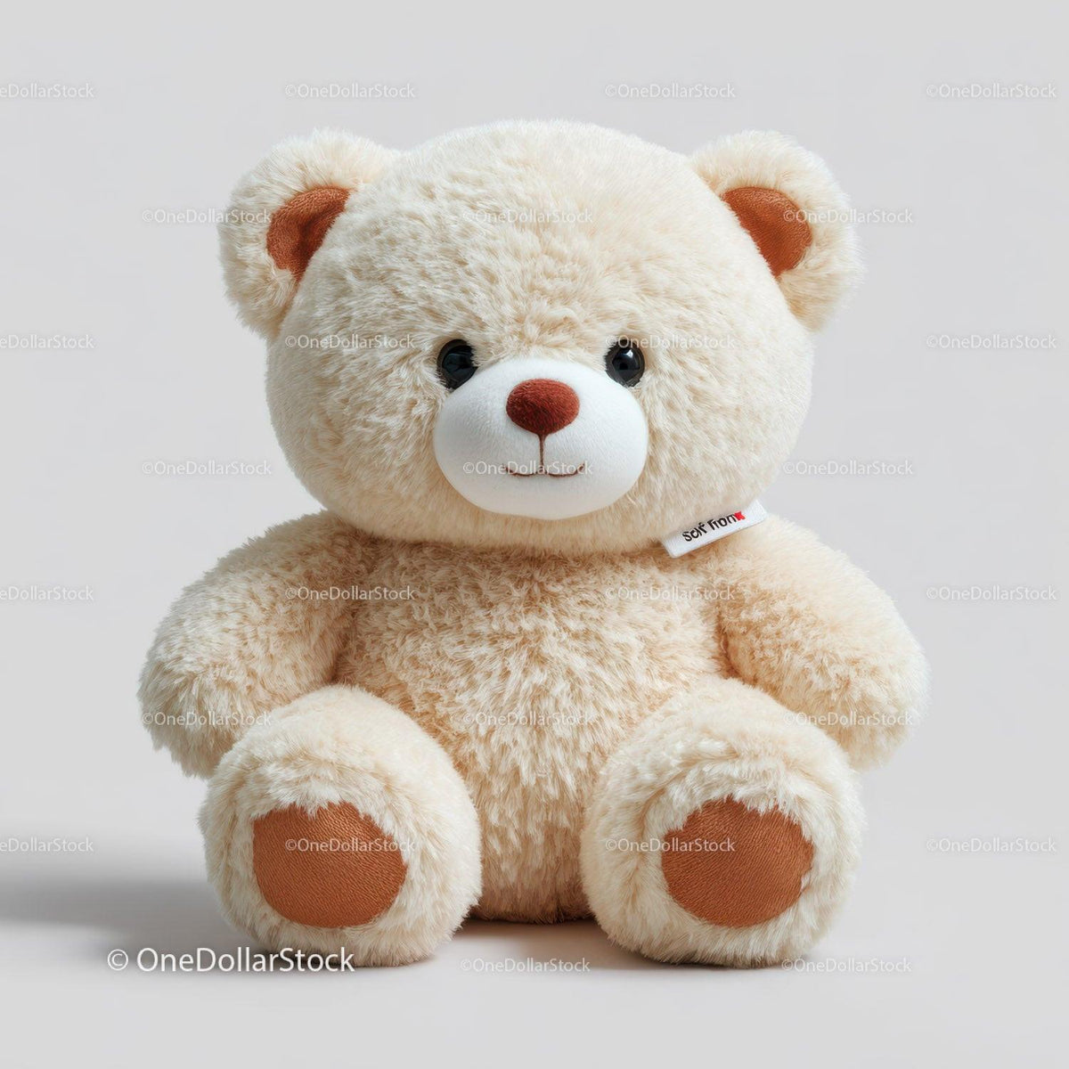 Cream plush teddy bear with brown nose and paws sitting on gray background