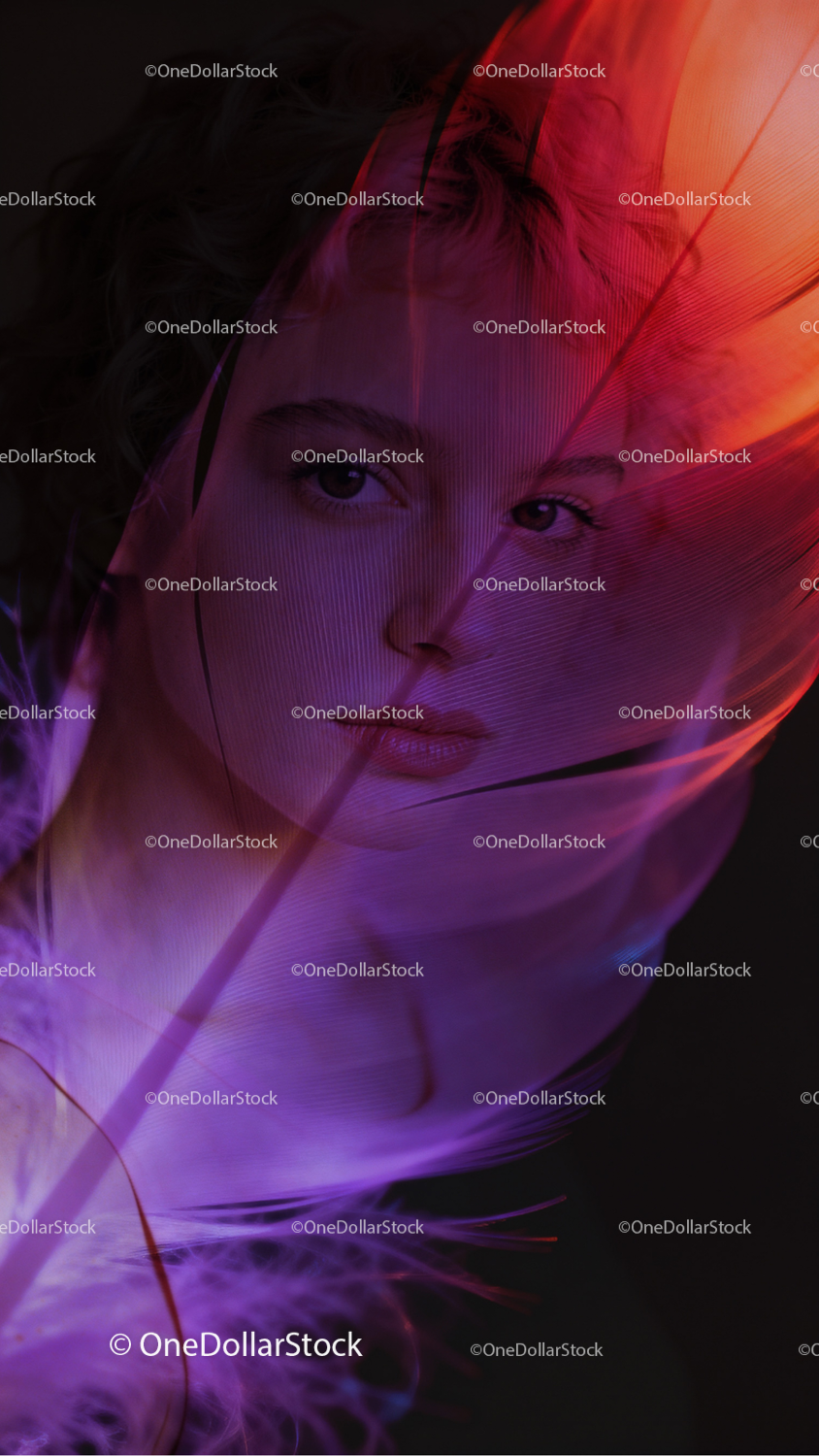 photo editing preview with Pink Quills Photo Overlays