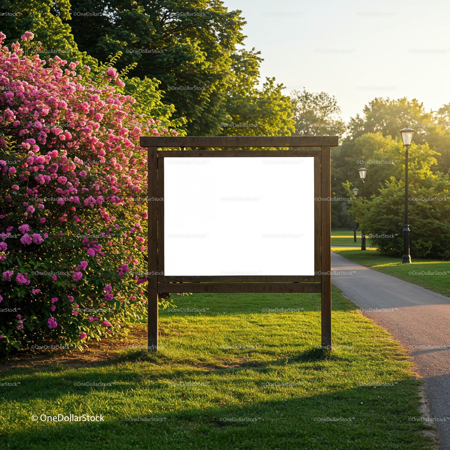 Empty wooden signboard in sunny park with blooming flowers