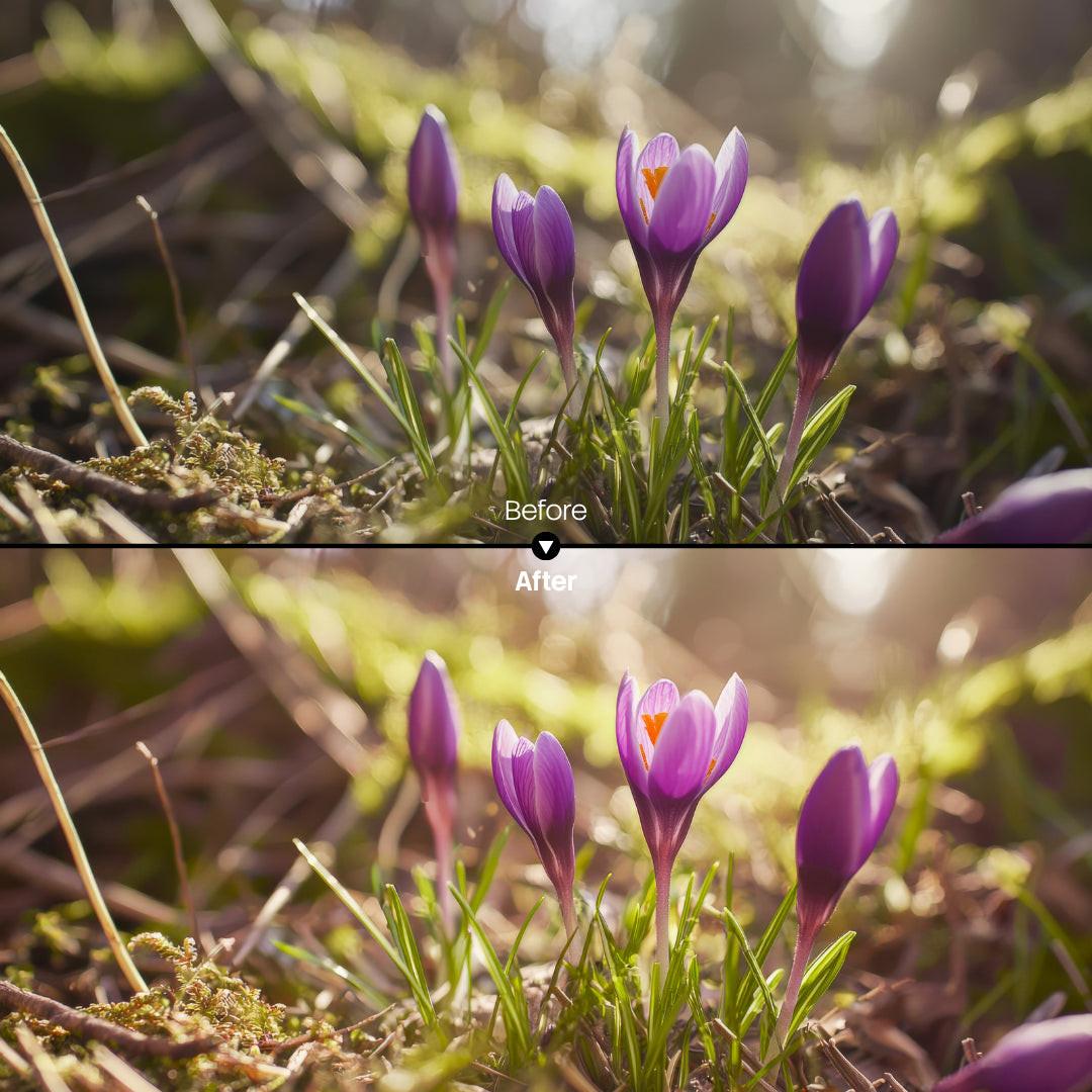Spring Bloom 8 LUTs digital asset preview