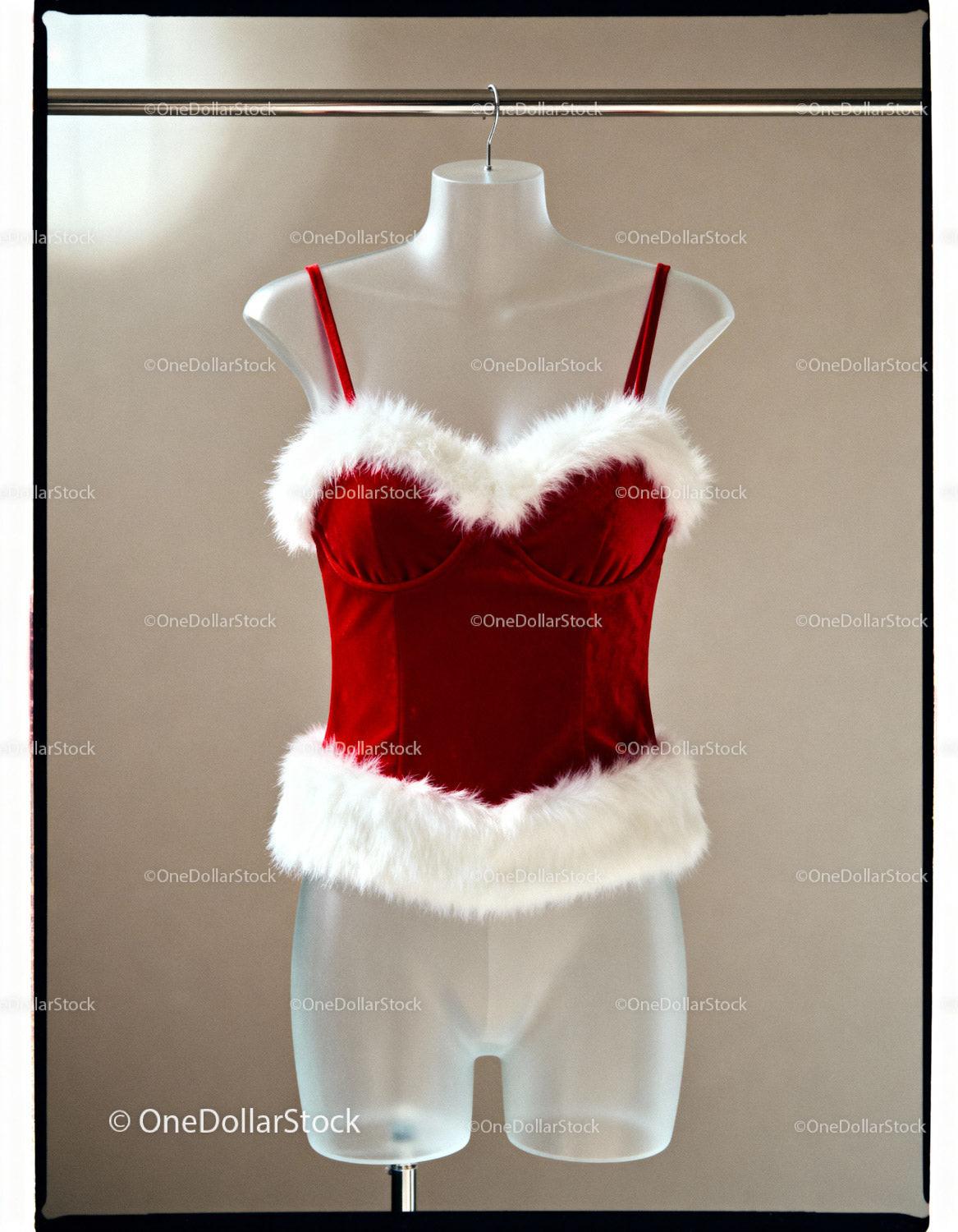 Festive Red Velvet Christmas Corset with Faux Fur Trim