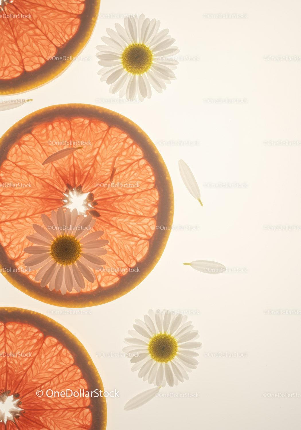 Fresh grapefruit slices with delicate chamomile flowers