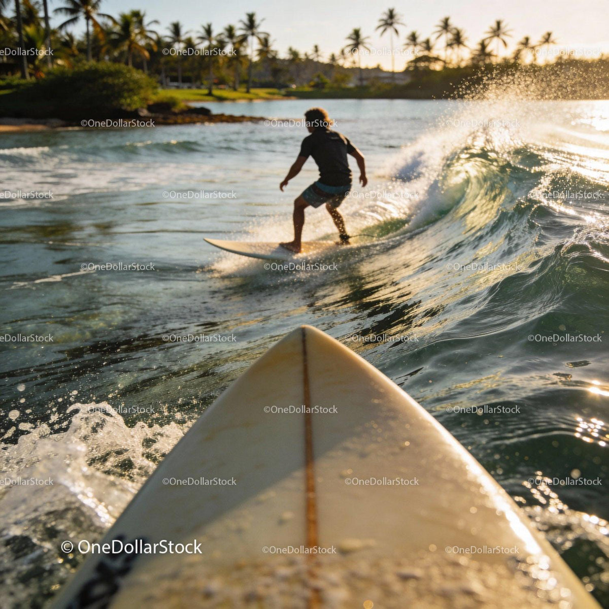 Surfer Riding a Wave at Sunset near Tropical Shore