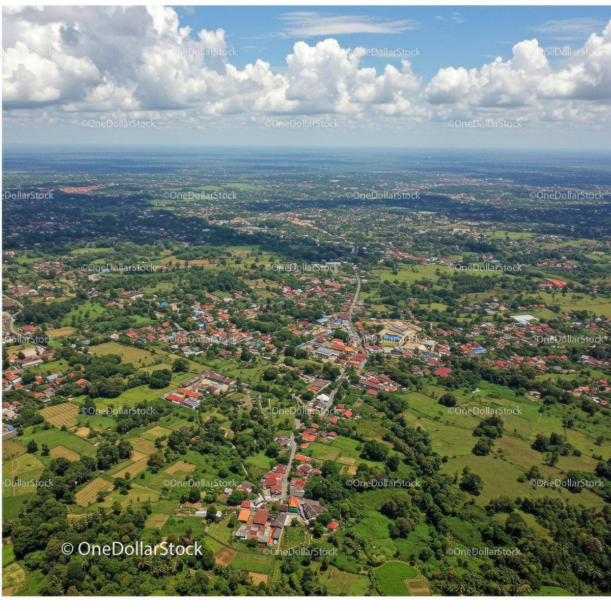 Aerial View of Rural Landscape with Houses and Green Fields