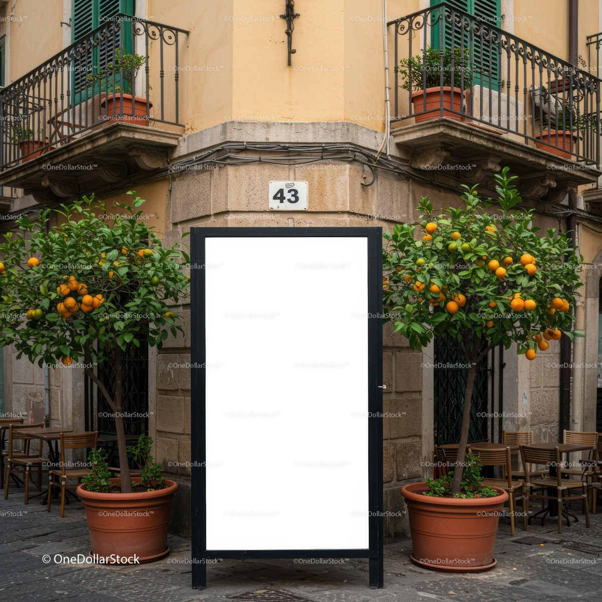 Street Corner with Orange Trees and Blank Advertising Board JPG Mockup Image preview
