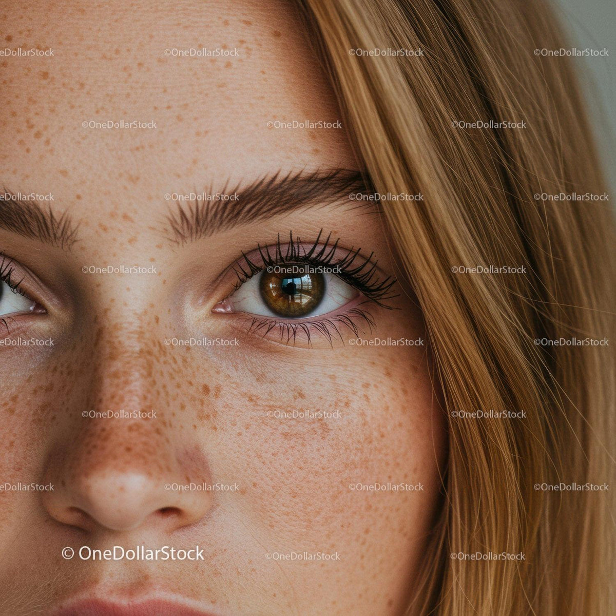 Close up of young woman with freckles and brown eyes