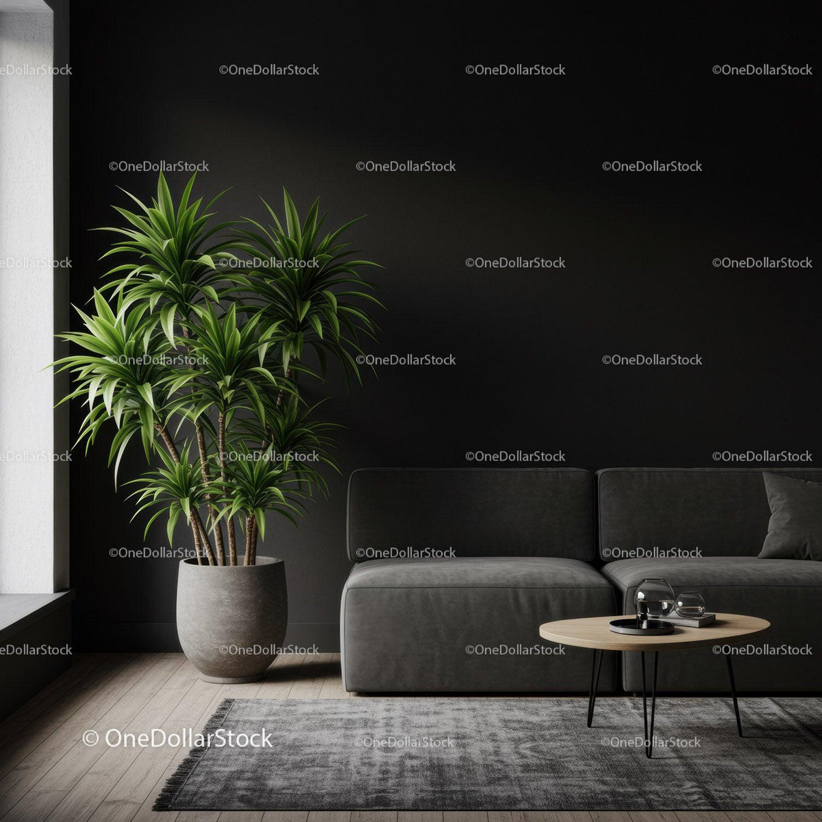 Modern Living Room with Indoor Plant and Gray Sofa on Black Wall