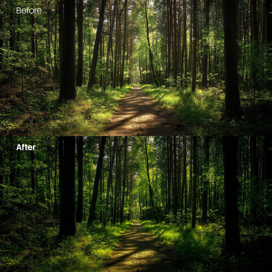 Forest Glow Dark XMP presets color grading preview
