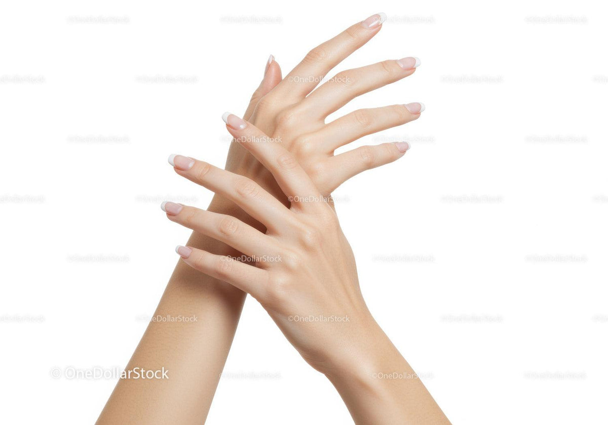 Close up of elegant female hands with French manicure