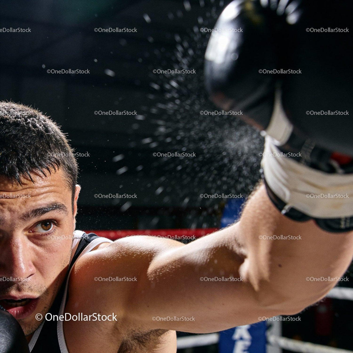 Focused young boxer throwing a powerful punch