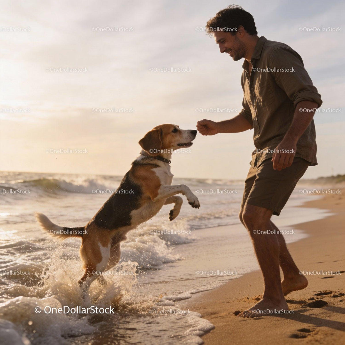 Man training his dog on a sunny beach shore