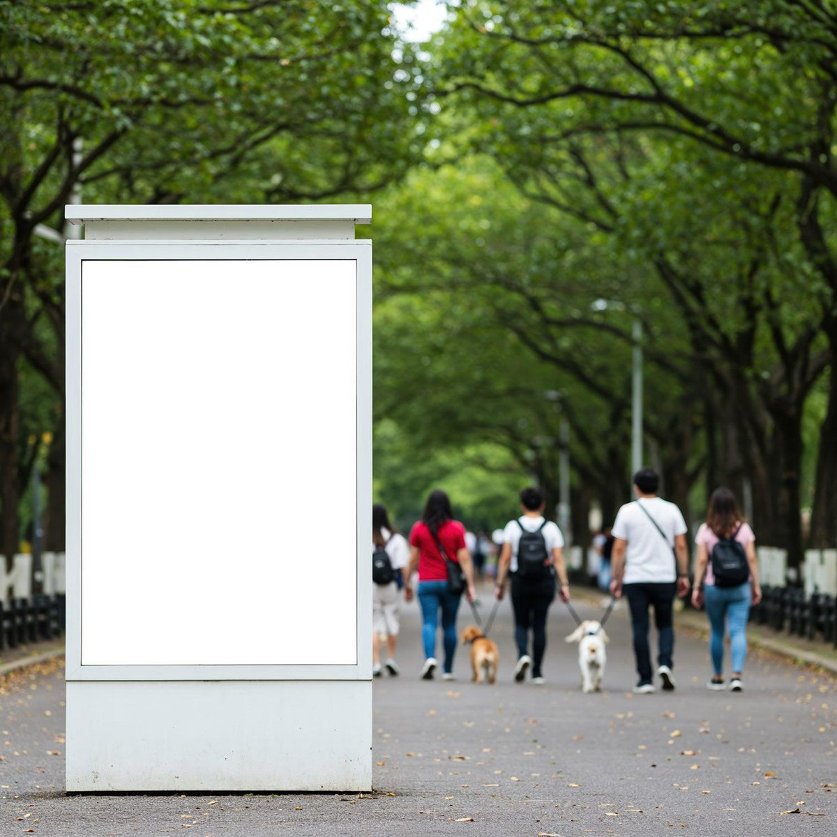 People Walking Dogs Along Tree-Lined Urban Pathway JPG Mockup Image preview