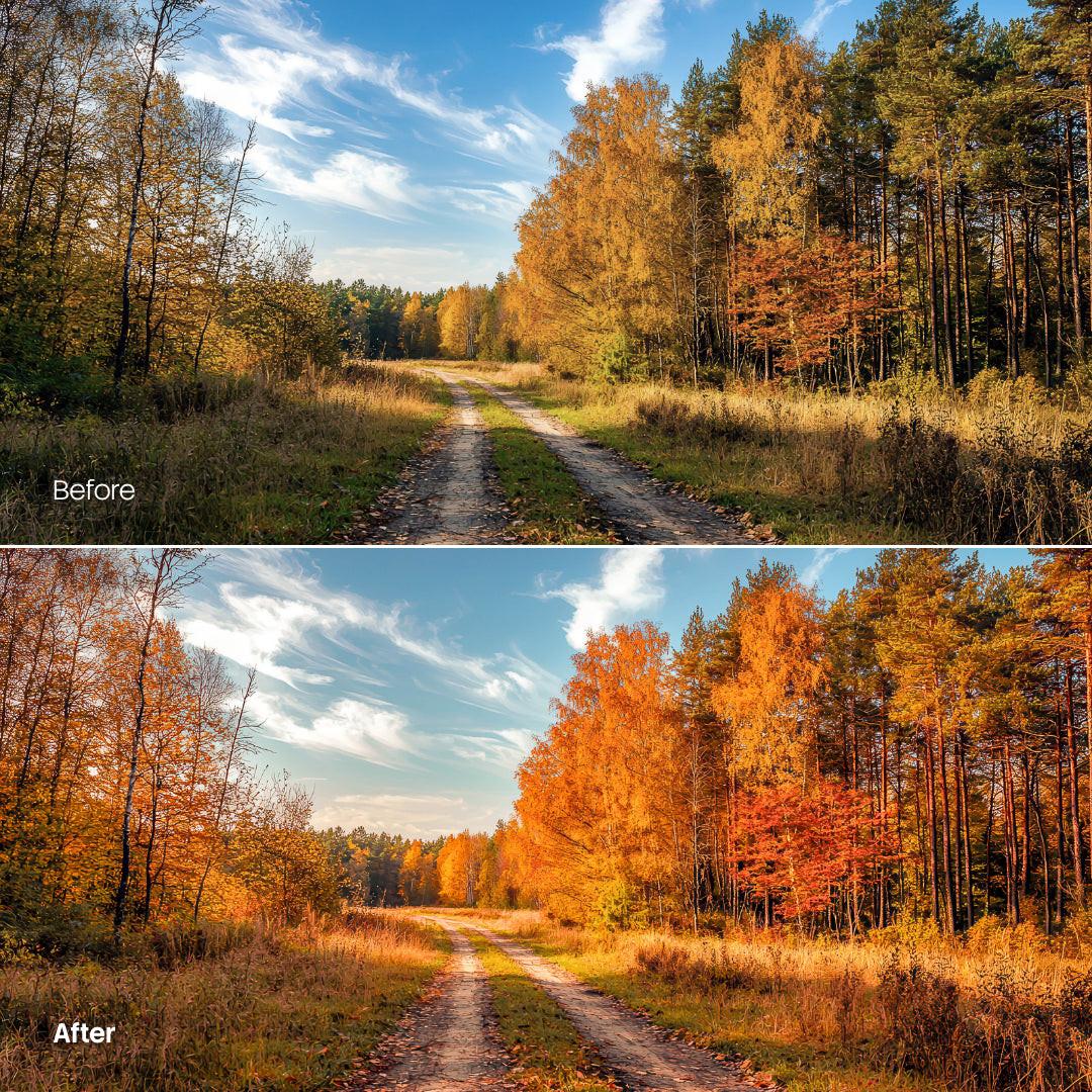 outdoor photography edit with Cozy Autumn Leaves Palette Lightroom presets
